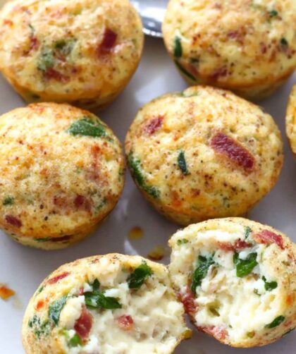 Pioneer Woman Instant Pot Egg Bites Recipe