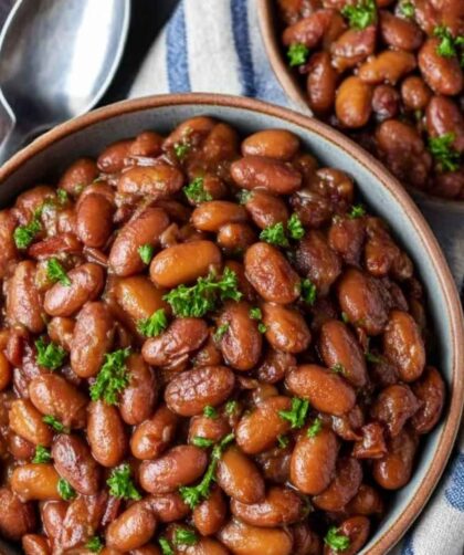 Pioneer Woman Pinto Beans Instant Pot Recipe