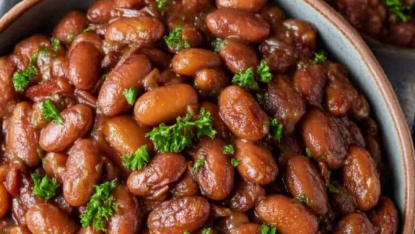 Pioneer Woman Pinto Beans Instant Pot Recipe