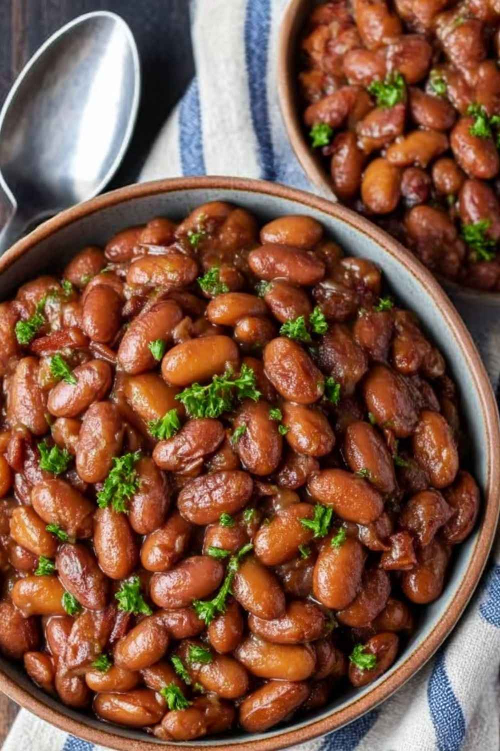 Pioneer Woman Pinto Beans Instant Pot Recipe