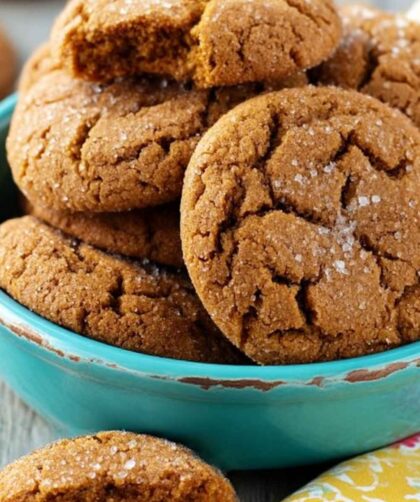 Pioneer Woman Gingerbread Cookies Recipe